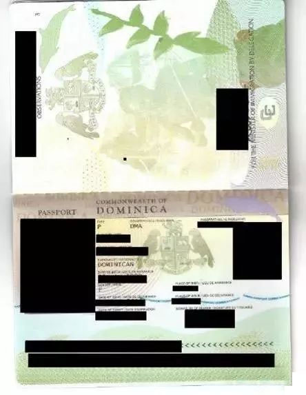 如何移民到多米尼克?這個加勒比小國的護照有多好用? 如何移民到多米尼克?這個加勒比小國的護照有多好用?
