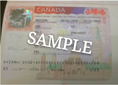 1680232431616834.jpg 2023-03-31_111335.jpg