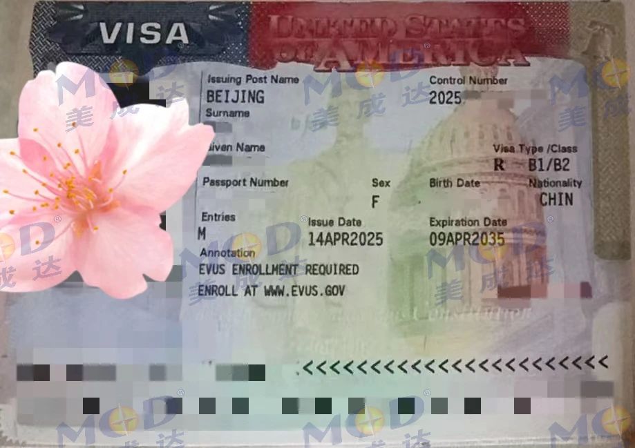 1752630559240969.jpg 1752630559240969.jpg