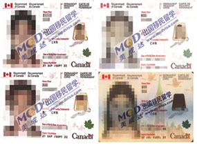 【成功案例】恭喜Z先生一家成功移民加拿大薩省